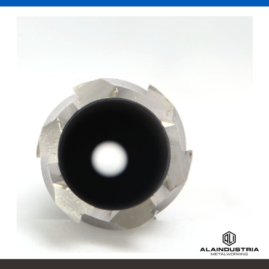 206555_4